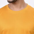 15266705736051_img6