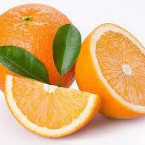 Seeds Hybrid Sweet Orange Plant