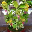 1740131903126-256