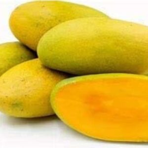 Seeds Dasheri Aam / Mango Plant