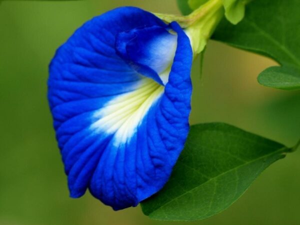 1740138253809-317