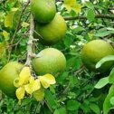 1740138253824-304-2