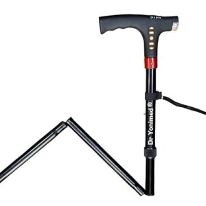 Walking Stick