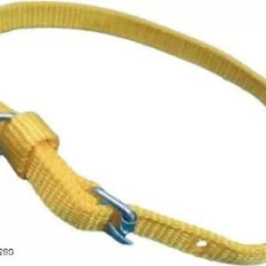 Nylon Coller 0.5 mm Neck Belt for Dog (Multicolor, S)