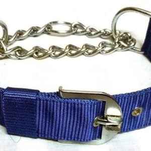 Neck Coller Belt for Pet (Multicolor, M)