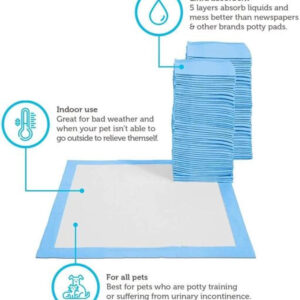 Water Proof Dog Pee Pad for Pet (Multicolor, 60x90 cm) (Pack of 5)