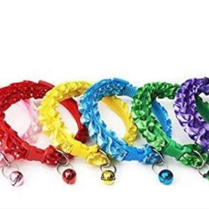 ABS Plastic Coller Belt for Pet (Multicolor, Pack of 2)