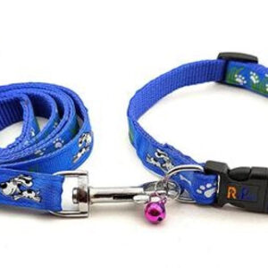 Neck Coller Belt with 5 Feet Leash for Pet (Multicolor, 0.15 inches) (Set of 1)