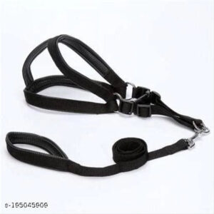 Fabric Harness with 5 Feet Leash for Dog (Multicolor, 0.5 inches) (Set of 1)