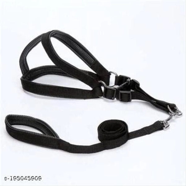 cmimgopt-9db7a26b-24da-4154-9439-2d30d04cef11