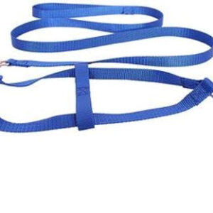 Harness with 5 Feet Leash for Pet (Multicolor, 0.1 inches) (Set of 1)