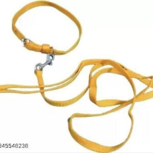 Neck Coller Belt with 5 Feet Leash for Pet (Multicolor, S) (Set of 1)