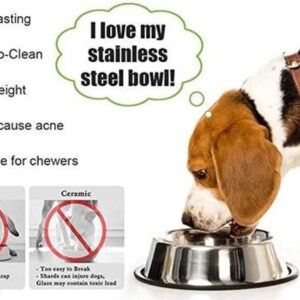 Stainless Steel Feeding Bowls for Pet (Multicolor, 800 ml)