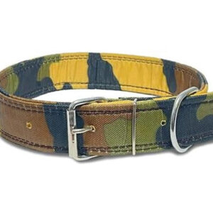 Nylon Padded 0.25 inches Coller Neck Belt (Multicolor, S)