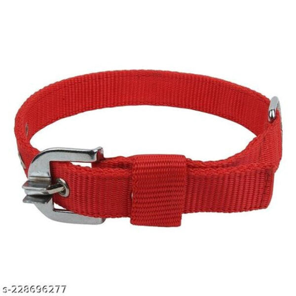 cmimgopt-f6c2a973-82de-49a1-8cc8-2bcc678ea63e